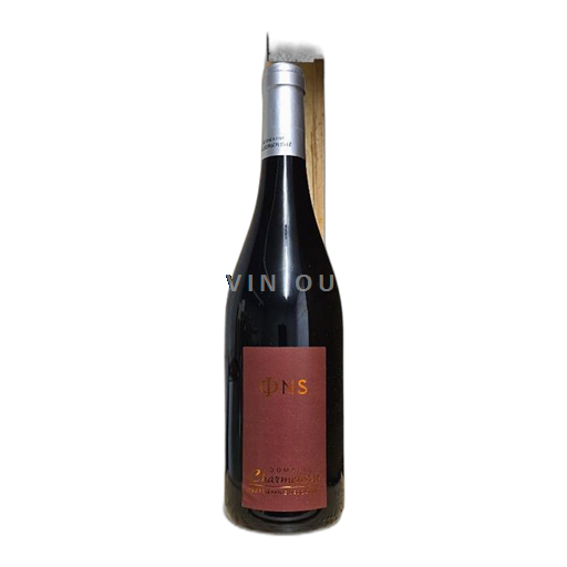 Loire-dalen Côtes-d'Auvergne Domaine Charmensat PNS (Finesse) 2023