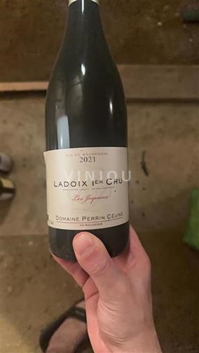 Bourgogne Ikke specificeret Premier Cru Domaine Perrin Céline Les Joyeuses 2021