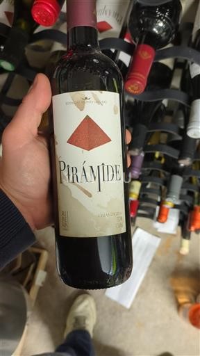 Castille et León Ribera del Duero Bodegas Monteabellón Piramide 2016
