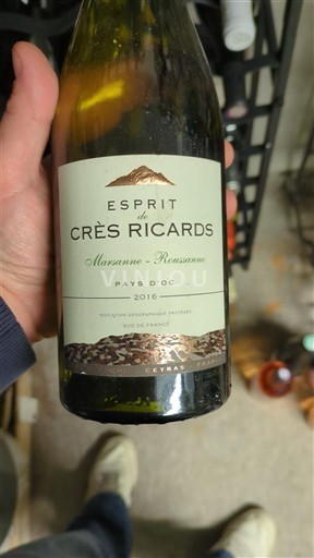 Languedoc và Roussillon Vùng đất Oc Crès Ricards Esprit 2016