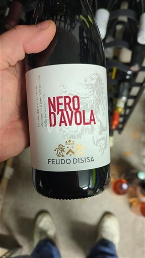 Sicily Feudo Disisa Nero d'Avola 2022