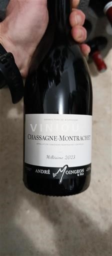Bourgondië Chassagne-Montrachet André Moingon 2023