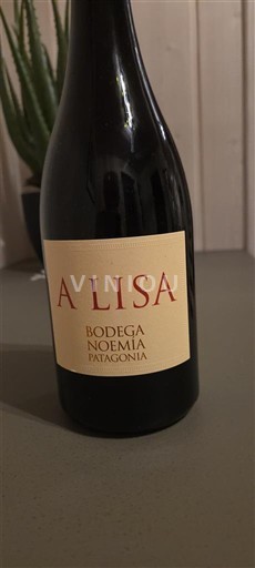 Patagonia Không được chỉ định Bodega Noemía A Lisa 2023
