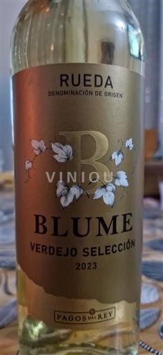 Castilien og León Rueda Pagos del Rey Verdejo Selección 2023