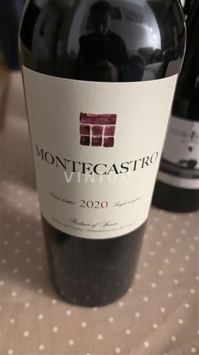 Castilien og León Ribera del Duero Montecastro 2020