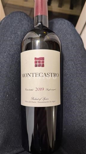 Castilien og León Ribera del Duero Montecastro 2019