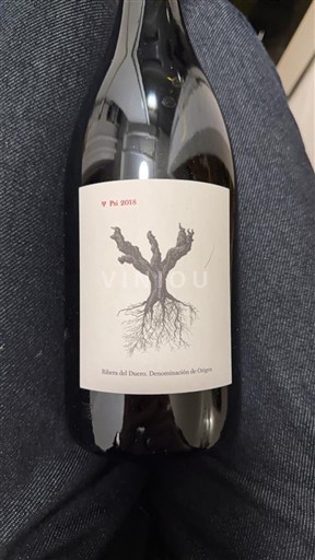 Castille và León Ribera del Duero PSI 2018