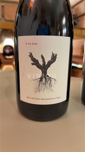Castille và León Ribera del Duero PSI 2018