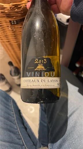 Dolina Loare Coteaux-du-Layon J.C. Moncourt 2013