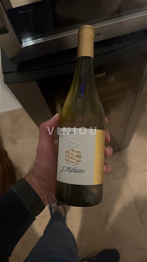 Tridentsko-Horní Adiže Horní Adiže J. Hofstätter 2019