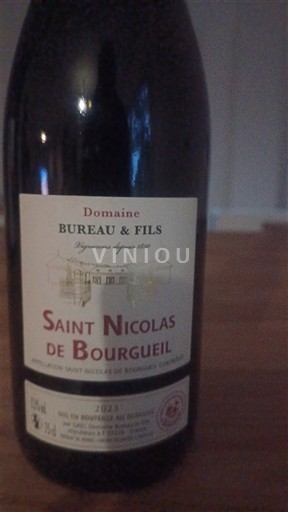 Thung lũng sông Loire Saint-Nicolas-De-Bourgueil Domaine Bureau & Fils 2021