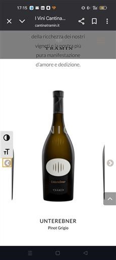 Trentin-Haut-Adige Haut-Adige Cantina Tramin Unterebner 2022