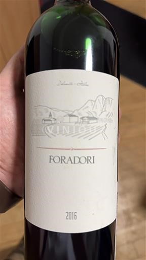 Benecija Vinogradi Dolomitov Foradori 2016