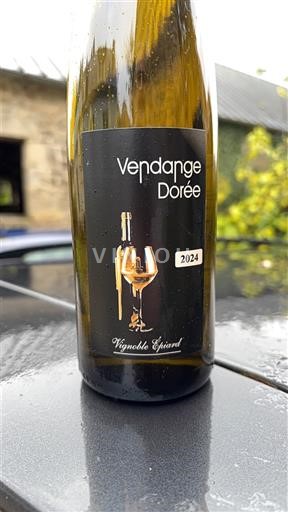 Loiredalen Fiefs Vendéens Vignoble Epiard Vendange Dorée 2024