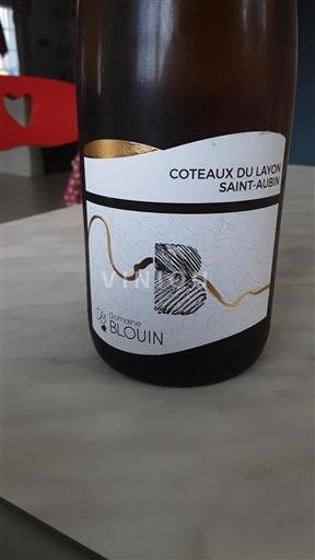 Valle del Loira No especificado Domaine Blouin Sin añada