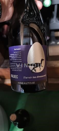 Languedoc và Roussillon Vùng đất Oc Anne de Joyeuse Terroir des Dinosaures 2021
