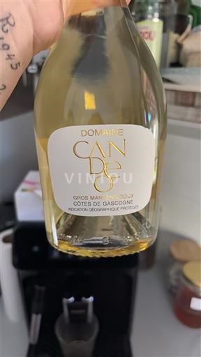 Tây Nam Côtes de Gascogne Domaine Can Dé 2024