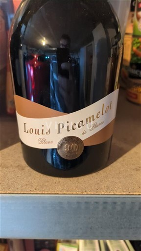Borgogna Crémant di Borgogna Louis Picamelot Blanc de Blancs Senza annata