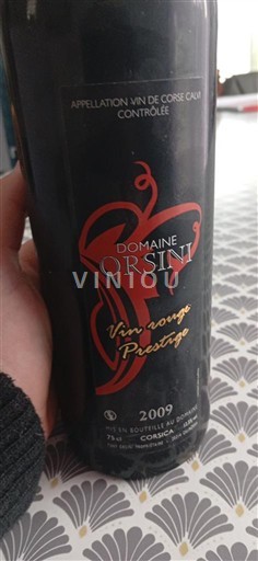 Linguadoca e Rossiglione Val de Cesse Domaine Orsini Vin rouge Prestige 2009