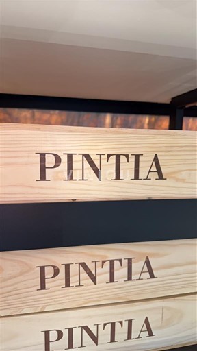 Кастилія і Леон Торо Pintia 2017