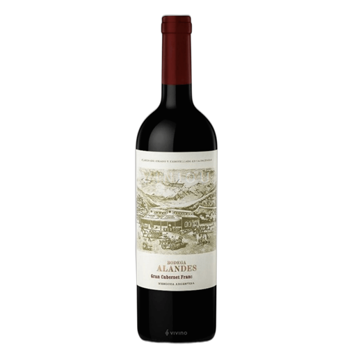 Mendoza Bodega Alandes Gran Cabernet Franc 2019