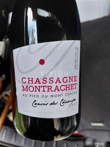 Bourgogne Chassagne-montrachet Domaine Piguet Concis des Champs 2022