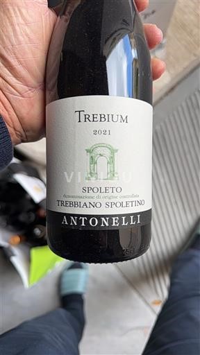 Umbria Spoleto Antonelli Trebium 2021