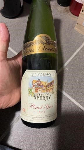 Elsass Pierre Sperry Pierre 2005