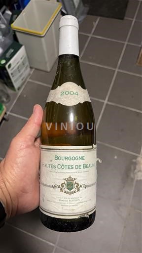 Bourgogne Ikke specificeret Domaine Mongeard-Mugneret 2004