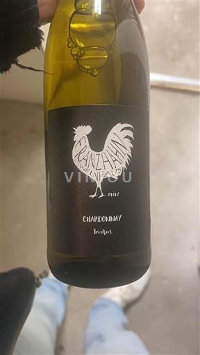 Pfalz Franz Hahn Weinhaus 2023