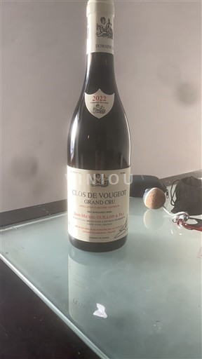Burgundy Clos-de-Vougeot Grand Cru Jean-Michel Guillon & Fils 2022