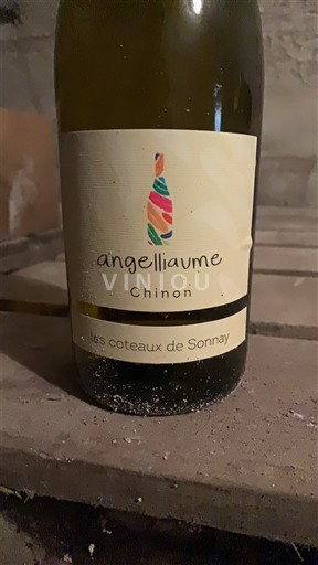 Loire-dalen Chinon Angelliaume les coteaux de Sonnay 2022