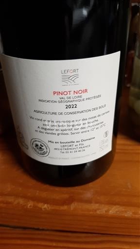 Dolina Loare Domaine Lefort 2022