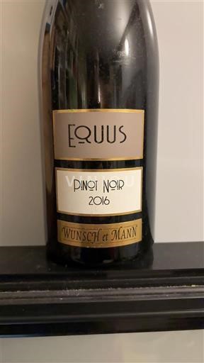 Alsacia Wunsch et Mann Equus 2016