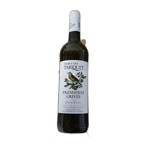 South West Tariquet Premières grives 2024