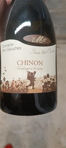 Loiren laakso Chinon Domaine Des Galuches Suis ton chemin 2023