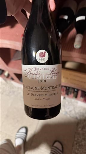 Bourgogne Chassagne-montrachet Domaine Bachey-Legros Les Plantes Momier 2018