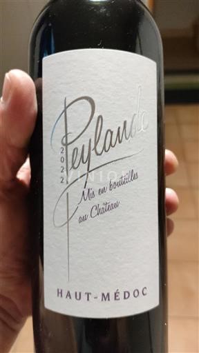 Bordeaux Haut-Médoc Peylande 2022
