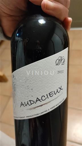 Jugozahod Côtes de Gascogne Domaine Dabadie Audacieux 2022