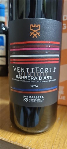 Piemonte Barbera d'Asti Barbera Sei Castelli Ventiforti 2024