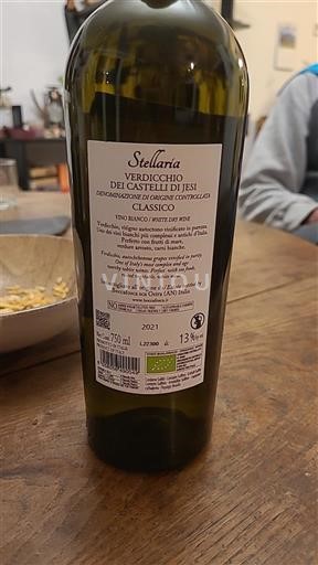 Marche Wines Verdicchio dei Castelli di Jesi Stellaria 2021