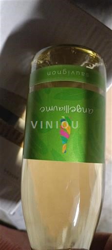 Thung lũng sông Loire Allier Angelliume Sauvignon 2023