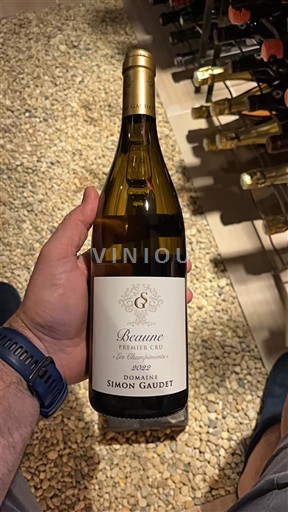 Borgogna Beaune Premier Cru Domaine Simon Gaudet Les champimonts 2022