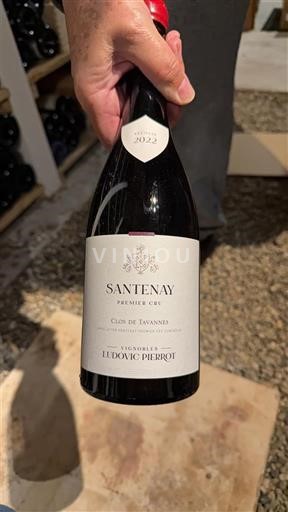 Borgoña Santenay Premier Cru Ludovic Pierrot Clos de Tavannes 2022