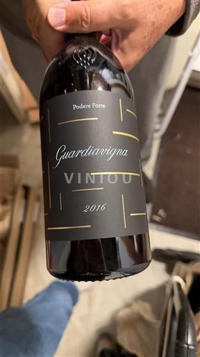 Toscana Non specificato Podere Forte Guardiavigna 2016