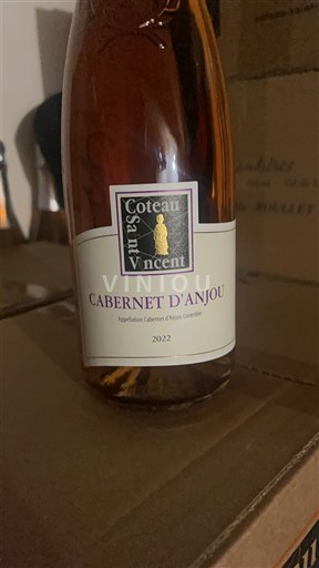 Loire Valley Cabernet d'Anjou Coteau Saint Vincent 2022