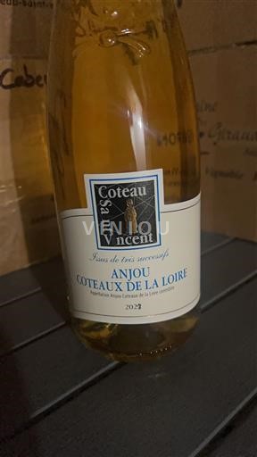 Loire Valley Unspecified Coteau Saint Vincent Jus de trois successifs 2021