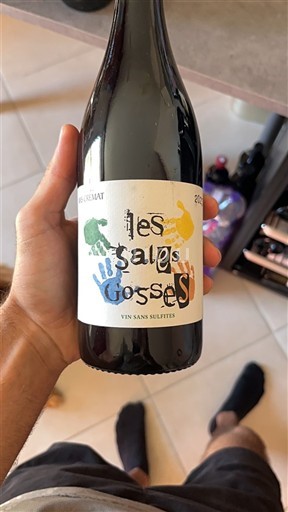 Languedoc a Roussillon Pays d'Oc Mas du Chêne Les Sales Gosses 2022