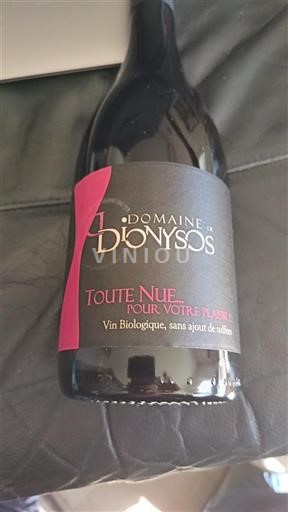 Alpe in reke Rona Ardeški vinogradni grici Domaine Dionysos Toute Nue 2023