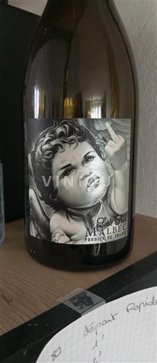 Sudoeste Côtes del Lot Produttori di Francia Le Petit Malbec 2023